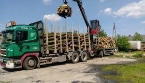 transport drzewa na przyczepę